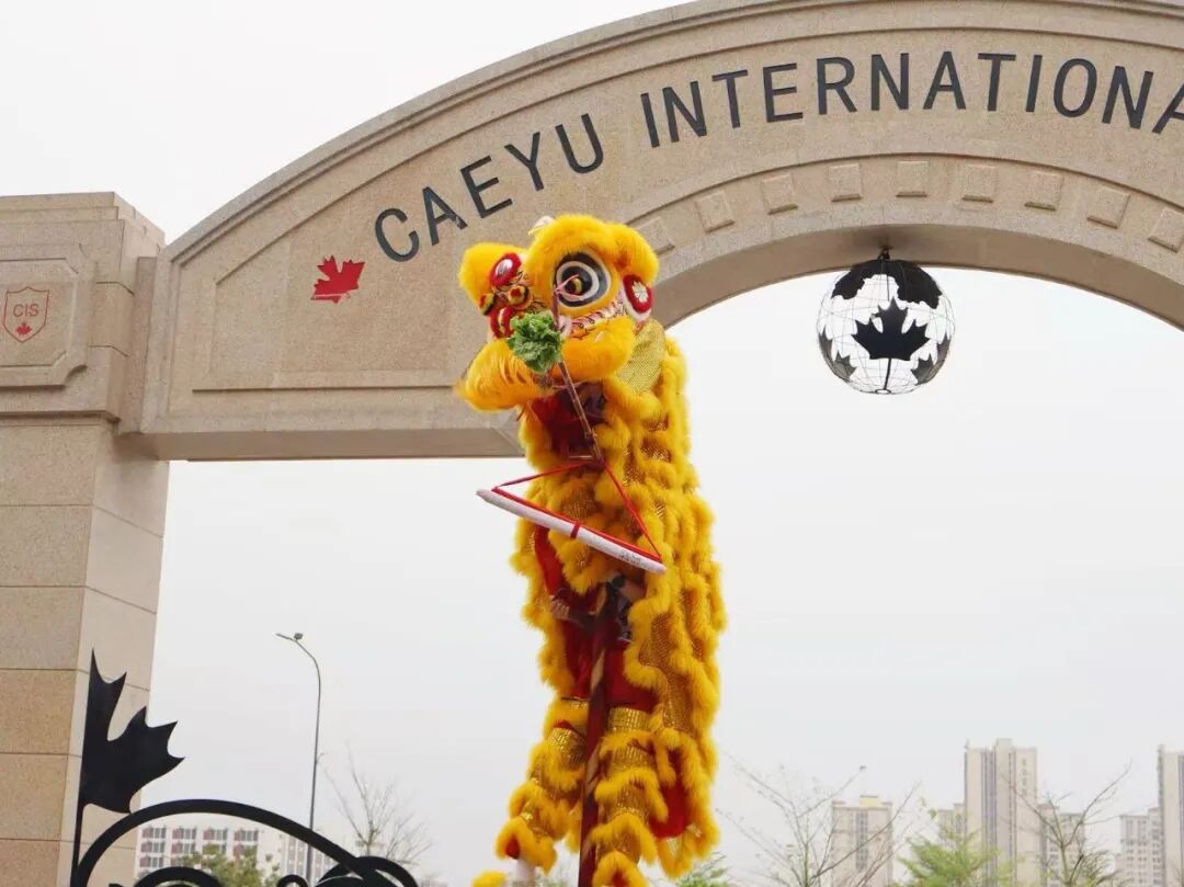 微信图片_2026-03-02_112607_265