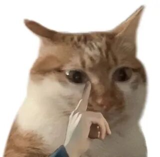 tms什么医疗重焕大脑机能之光！这项康复治疗黑科技，是时候了解下了！_https://www.jmylbn.com_新闻资讯_第2张