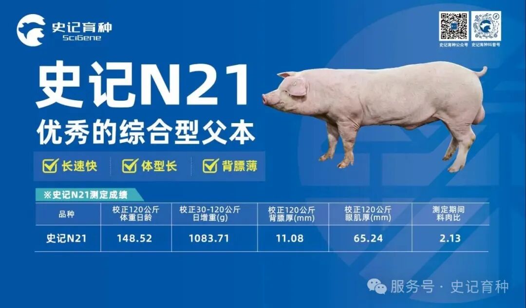 图片4.jpg