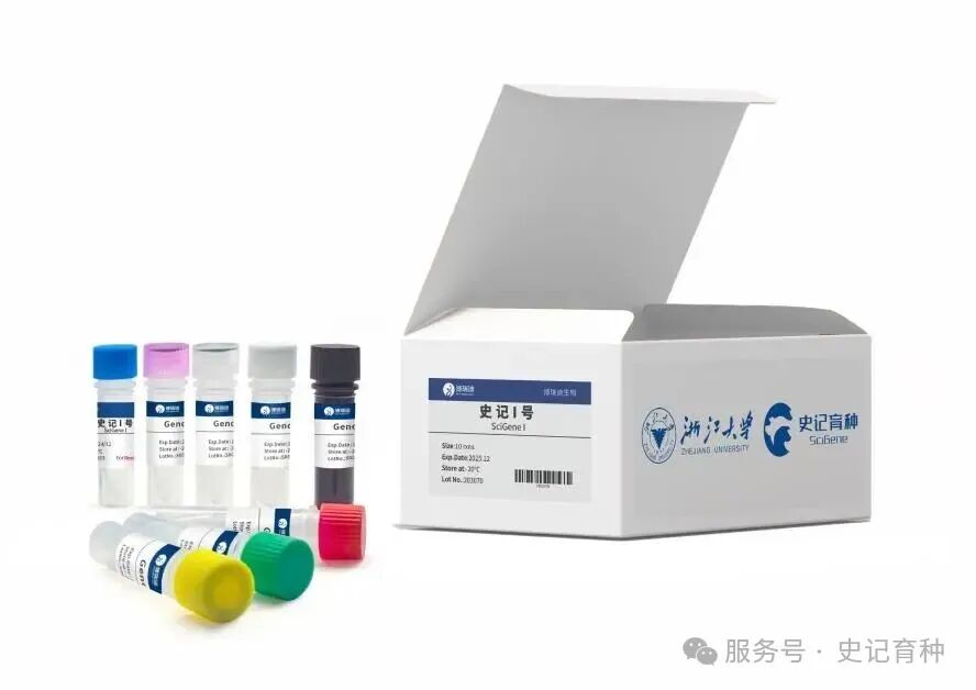 图片7.jpg
