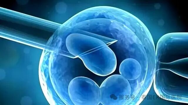 如何让AI为试管之路“导航”？泰国三代试管