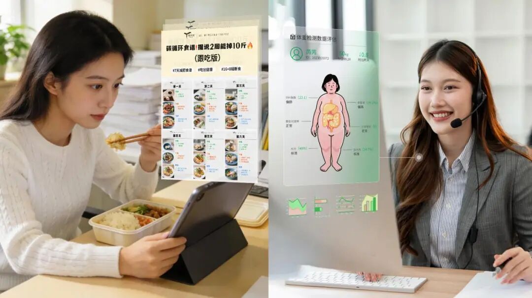 赛乐赛真正的核心优势