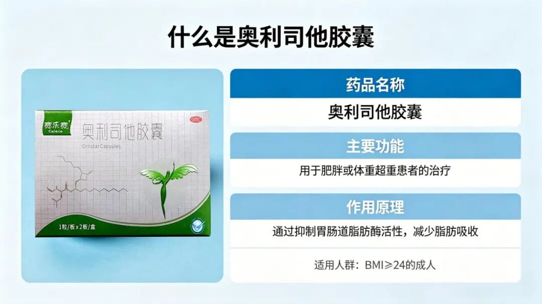 为什么有人减脂总反复