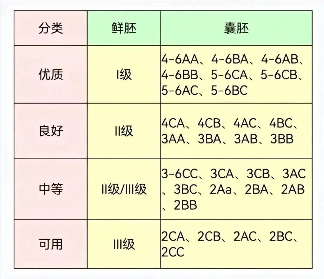 🤰胚胎质量等级全解析