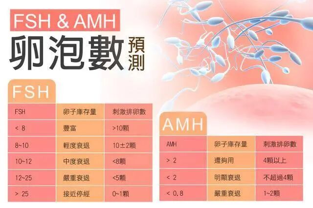 AMH检查到底是什么？手把手教你看懂AMH值！ - 知乎
