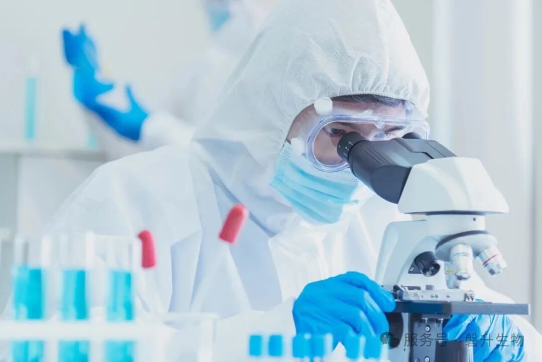 打破动物实验依赖！类器官技术迎来政策东风，磐升生物多款模型领跑行业