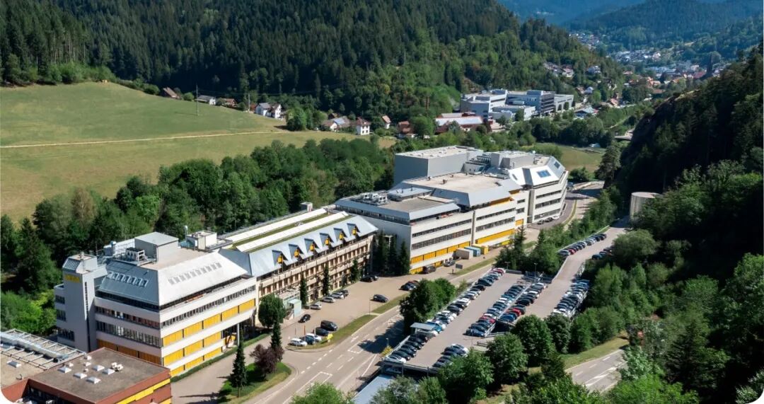 华体育会app地址VEGA，你可能不知道的10件事