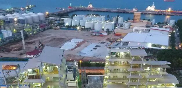 超高性能，無懼高溫：VEGA儀表助力油脂化工企業(yè)實現(xiàn)穩(wěn)定生產(chǎn)