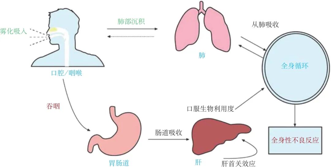 流感进入高发期！居家雾化吸入疗法成为避免交叉感染的理想选择