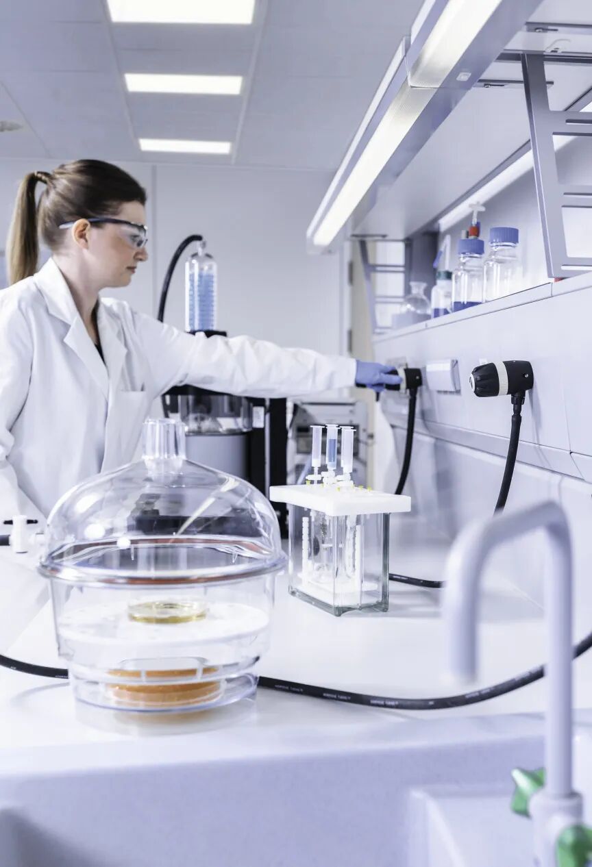 有獎征文 | 分享你與KNF實驗室真空泵的點滴故事