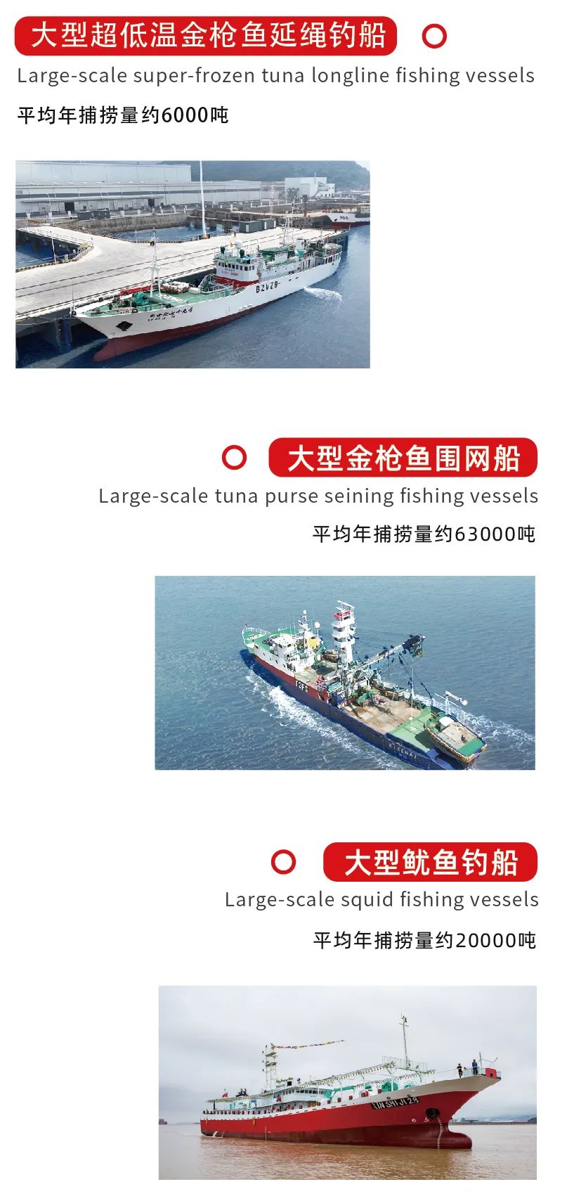 大洋世家：远洋渔业的隐形冠军，如何“钓”出年入39亿的海鲜帝国(图4)