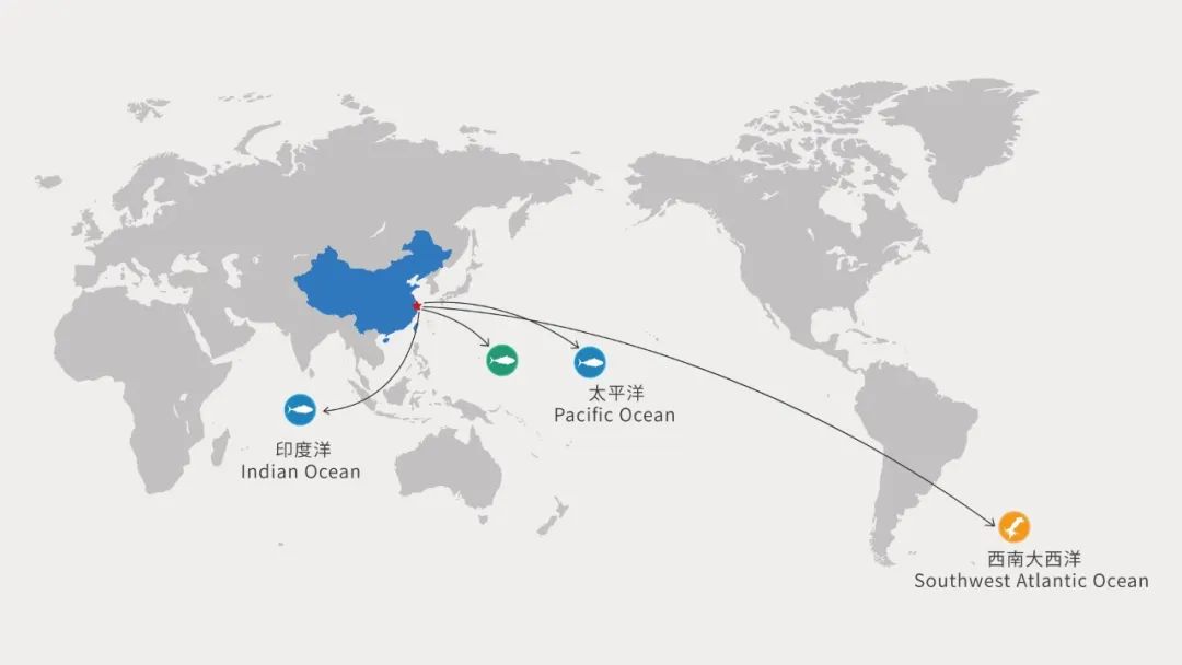 大洋世家：远洋渔业的隐形冠军，如何“钓”出年入39亿的海鲜帝国(图5)
