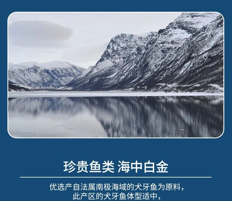 领“鲜”新食代！海天下全系海鲜重新定义消费新体验(图25)