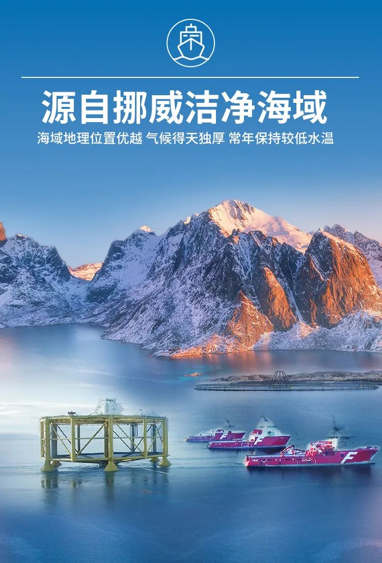 领“鲜”新食代！海天下全系海鲜重新定义消费新体验(图4)