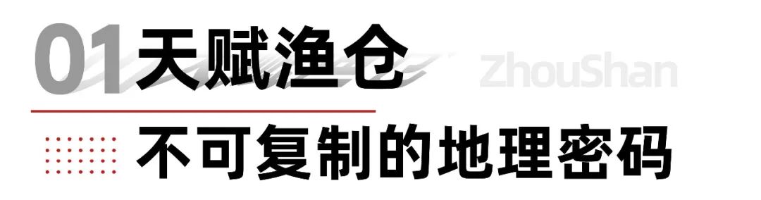 东海鱼仓 鲜动全球 | 上海渔博会探秘“中国第一鱼市”的海洋传奇(图1)