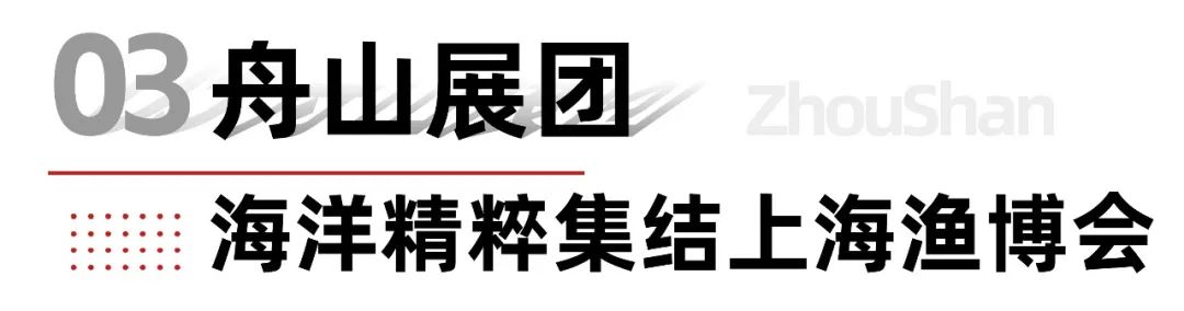 东海鱼仓 鲜动全球 | 上海渔博会探秘“中国第一鱼市”的海洋传奇(图6)