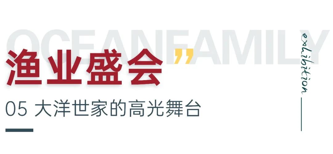 大洋世家：远洋渔业的隐形冠军，如何“钓”出年入39亿的海鲜帝国(图11)