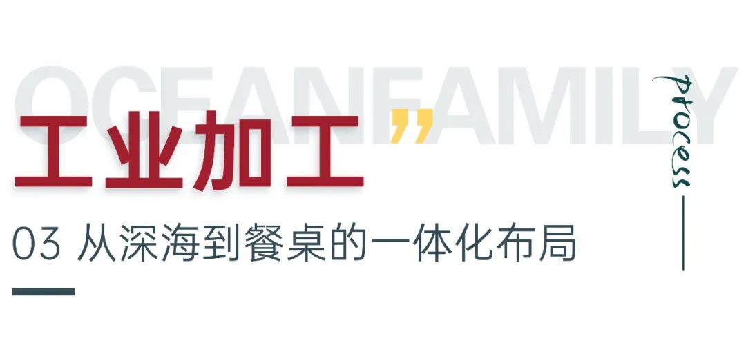 大洋世家：远洋渔业的隐形冠军，如何“钓”出年入39亿的海鲜帝国(图8)