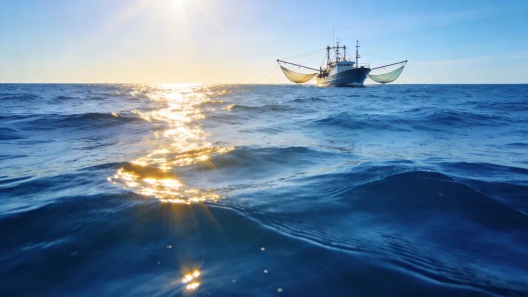 圖片描述：南海海洋場(chǎng)景