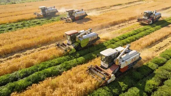 一張中國現(xiàn)代化農(nóng)業(yè)豐收的航拍圖，金色的麥田或綠色的茶園，有農(nóng)業(yè)機械在工作，畫面壯觀，體現(xiàn)農(nóng)業(yè)的現(xiàn)代化和豐碩成果。