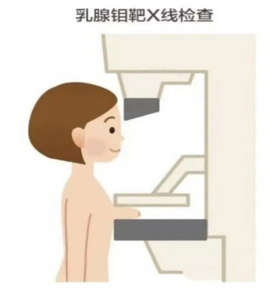 乳腺dr能检查什么乳腺DR检查来了，这些高危人群要注意！_https://www.jmylbn.com_新闻资讯_第3张