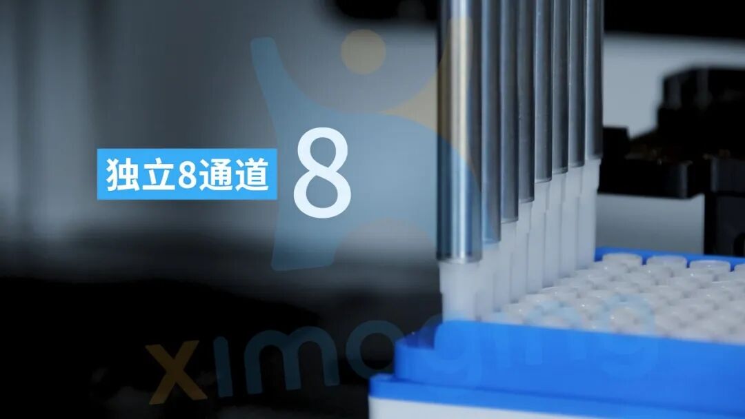 AI 与自动化重塑先导抗体发现：解码创新药物研发底层范式