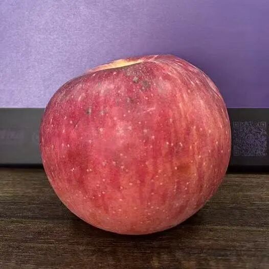 圣诞钟声响起，贝尔暖意正在传递