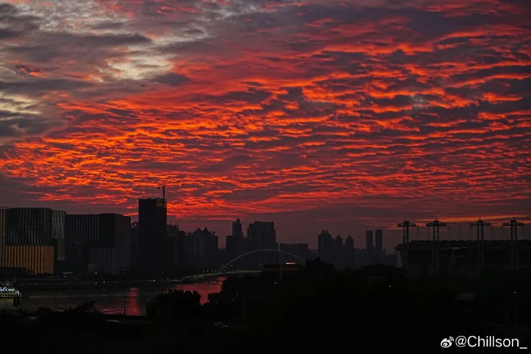 12月16日广州出现绚丽晚霞，约三千米高空的透光高积云被染红，图/Chillson