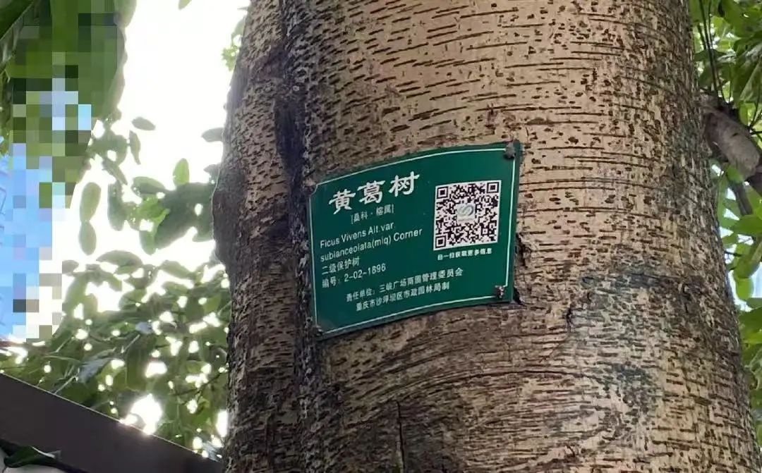 微信图片_20250305153305.jpg