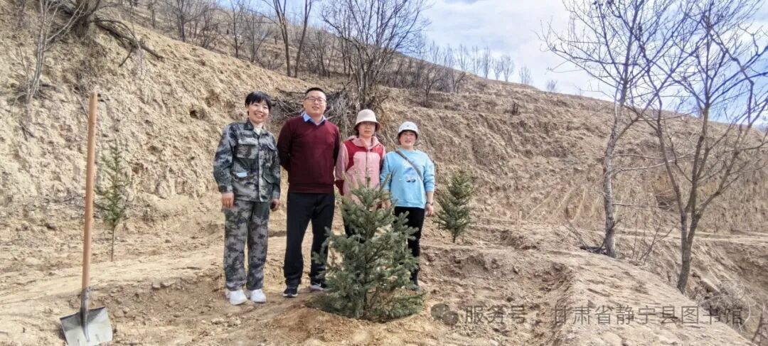 IMG_20250325_110950.jpg?v=1766452637387