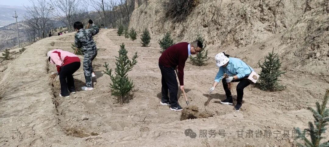 IMG_20250325_111448.jpg?v=1766452637387