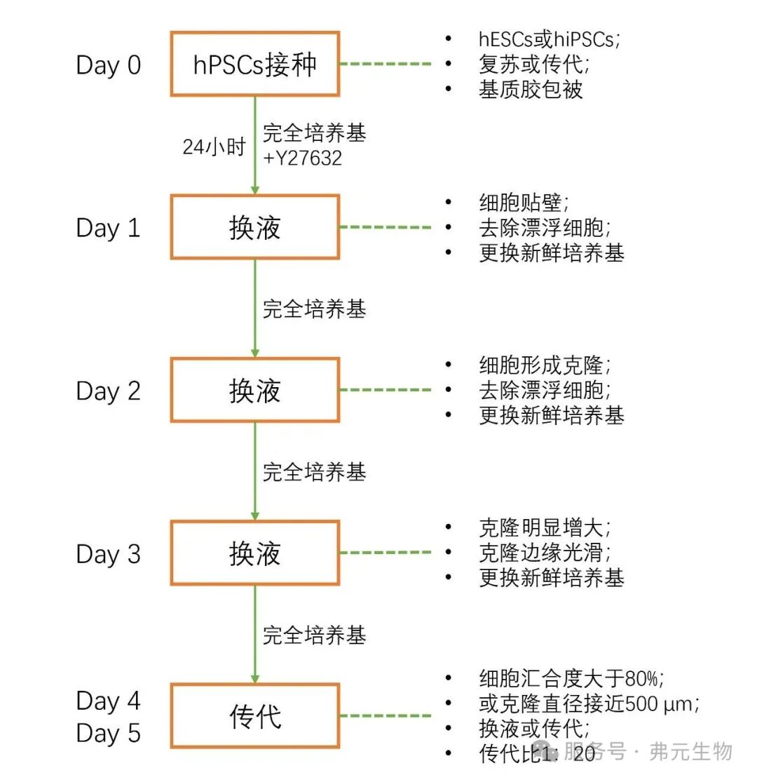 RC200120 ����ͼ�����棩.jpg