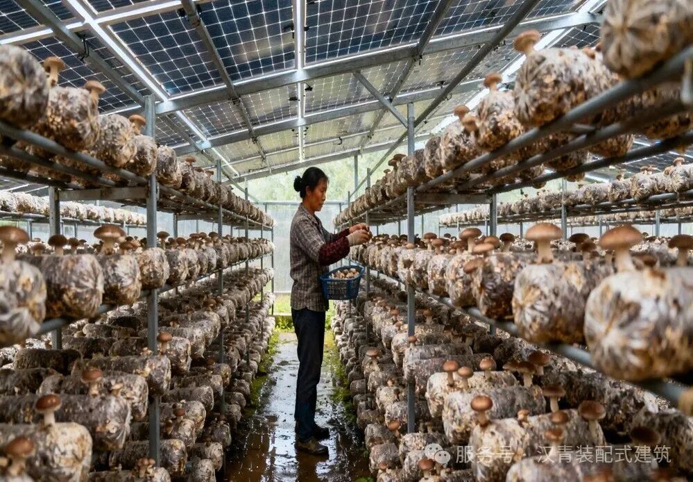 640_wx_fmt=jpeg&watermark=1&tp=wxpic&wxfrom=10005&wx_lazy=1 (1).jpg