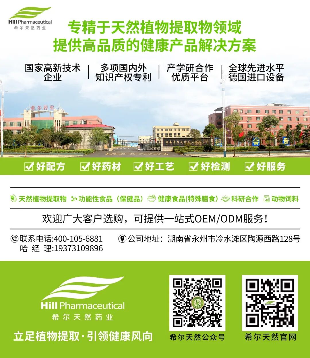 桑叶黄酮：犊牛养殖的天然“生长助推器”