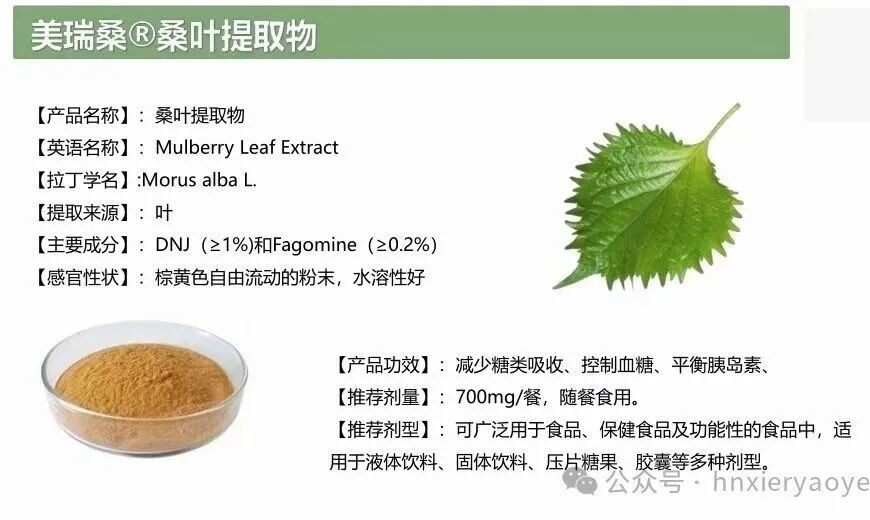 桑叶提取物：能降糖降脂，还能调节肠道？一文说清它的“舒张”作用