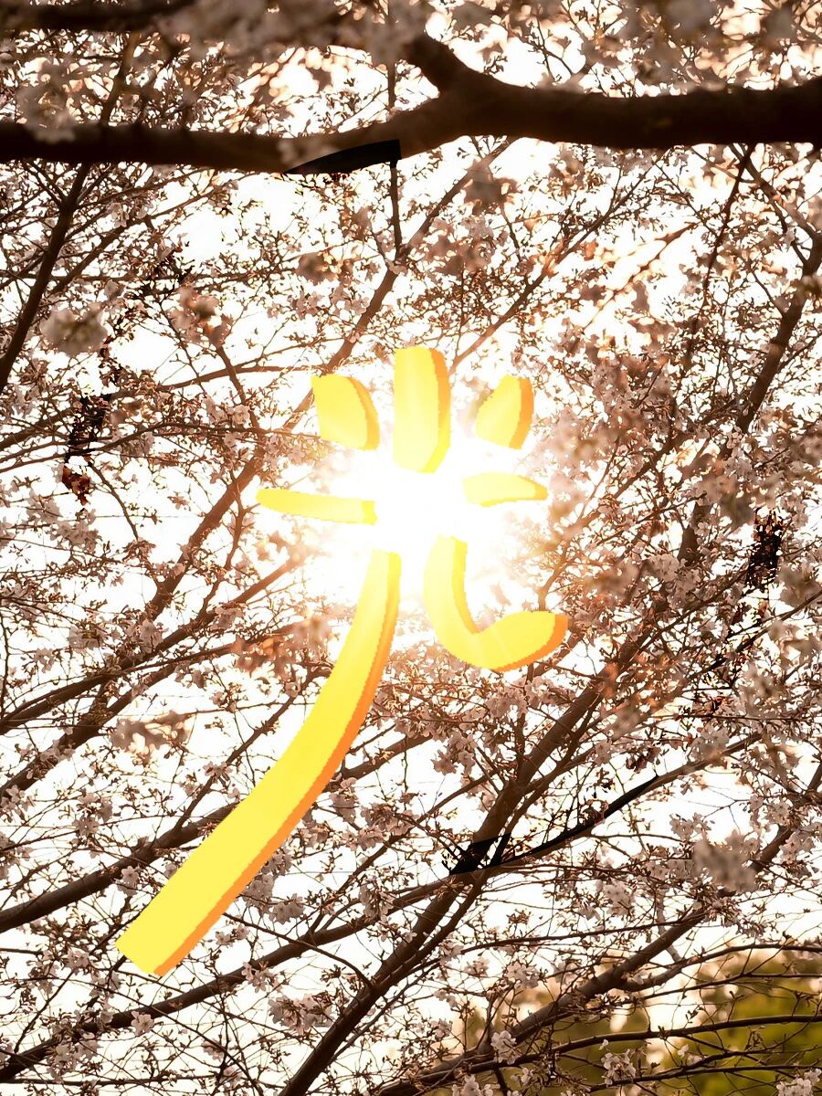 招聘公告图片