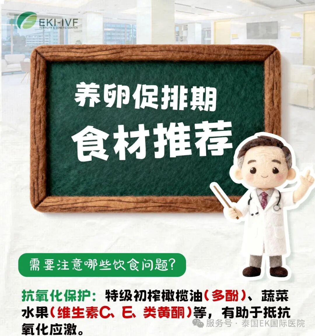 备孕养卵吃什么？从什么时候开始吃？泰国试管EKI-IVF