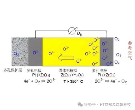 分不清！鸿瑞韬HT-PA302与HT-PA310便携式氧分析仪，到底该怎么选？