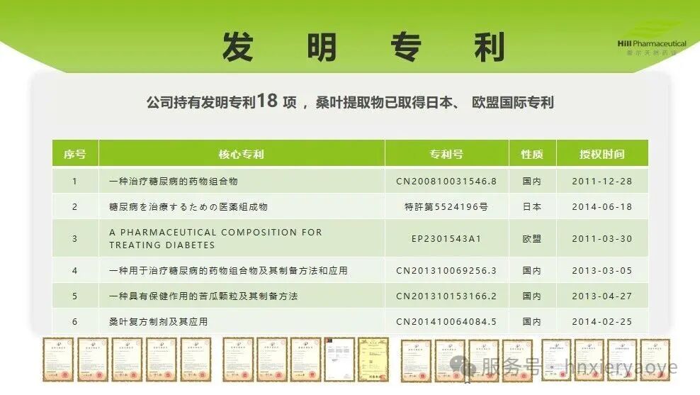 控糖新“食”尚｜以桑叶为本，希尔药业低GI食品开启健康饮食革命