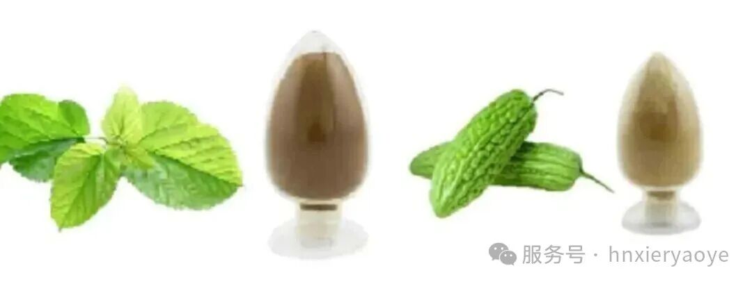 控糖新“食”尚｜以桑叶为本，希尔药业低GI食品开启健康饮食革命