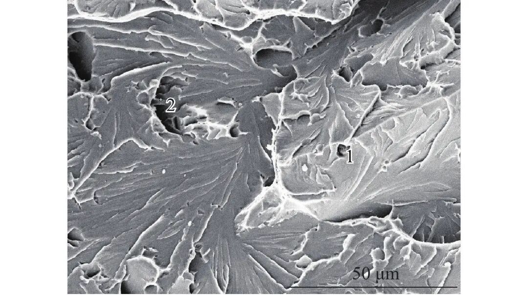 10.3969-j.issn.1000-6826.2025.01.2001-Figure2.jpg
