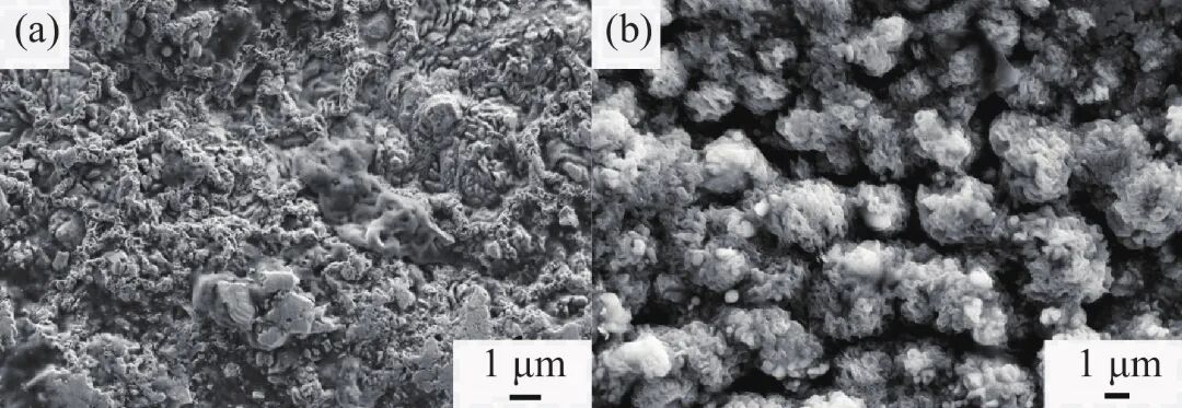 10.3969-j.issn.1000-6826.2025.07.1601-Figure6.jpg