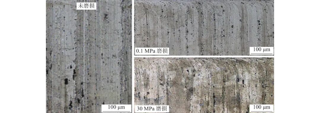 10.3969-j.issn.1000-6826.2026.04.1861-Figure5.jpg