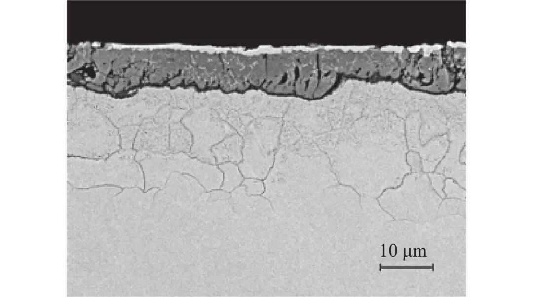 10.3969-j.issn.1000-6826.2025.01.1403-Figure1.jpg