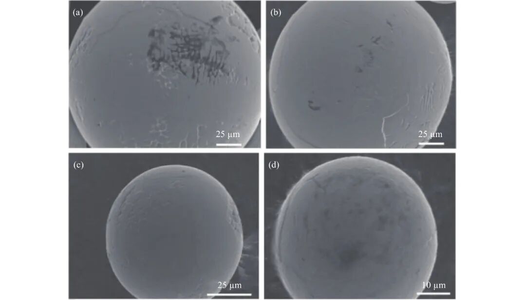 10.3969-j.issn.1000-6826.2025.02.1401-Figure6.jpg