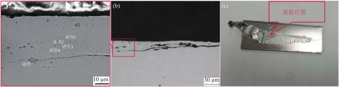 10.3969-j.issn.1000-6826.2024.12.2301-Figure2.jpg