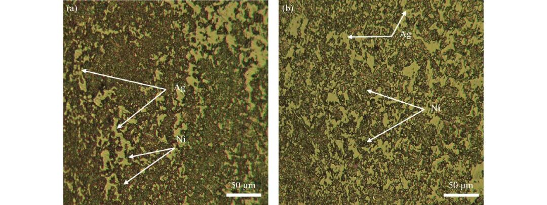 10.3969-j.issn.1000-6826.2024.11.0101-Figure2.jpg