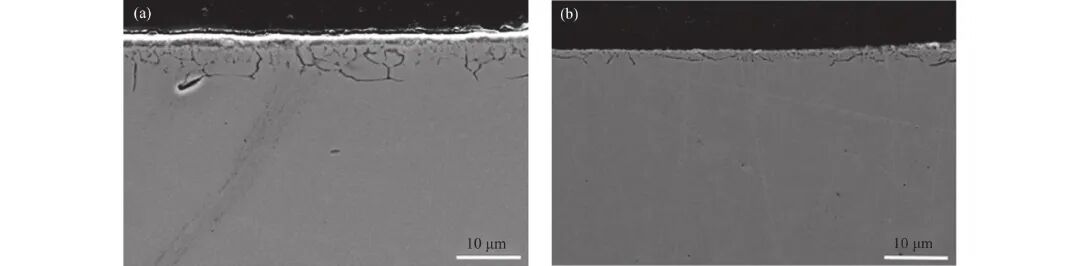 10.3969-j.issn.1000-6826.2025.01.1403-Figure9.jpg