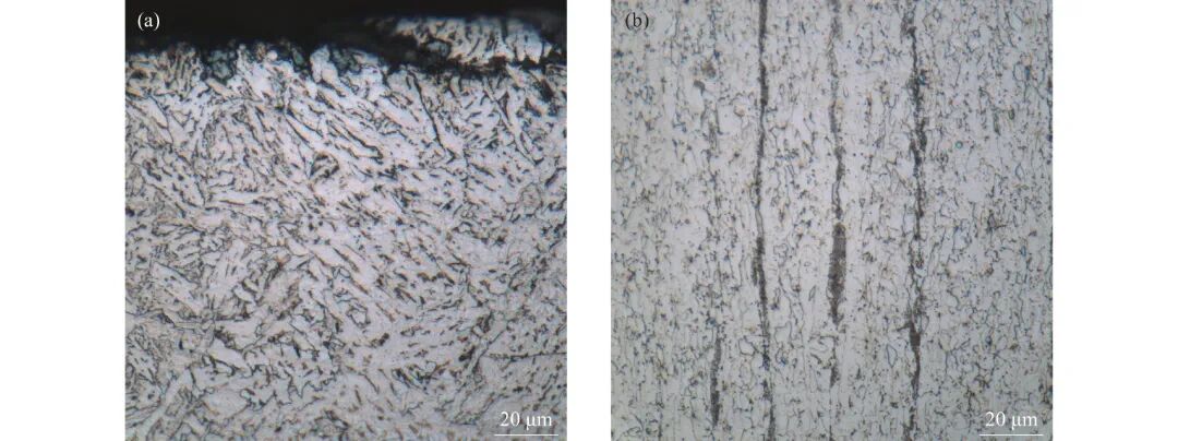 10.3969-j.issn.1000-6826.2025.01.2001-Figure4.jpg