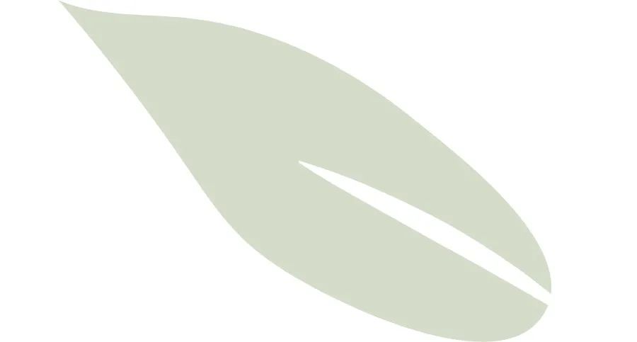 【说说我的教育智慧】 花开有时 顺其自然——雄安容和悦泽幼儿园家长课堂（第三十五期）-幼师课件网第16张图片